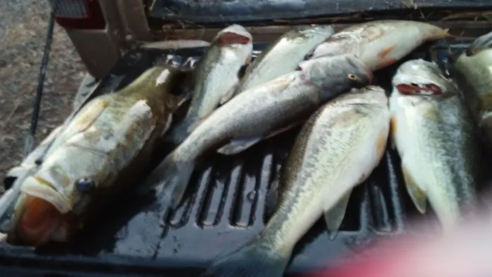 Michael's Contracting & Service LLC Picture 1