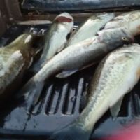 Michael's Contracting & Service LLC ico