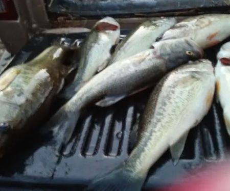 Michael's Contracting & Service LLC