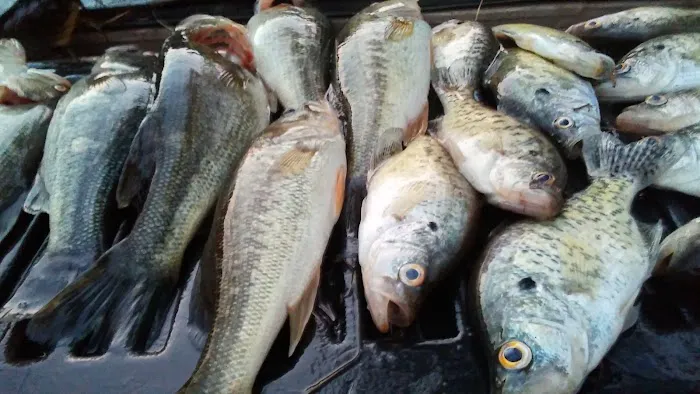 Michael's Contracting & Service LLC Picture 3