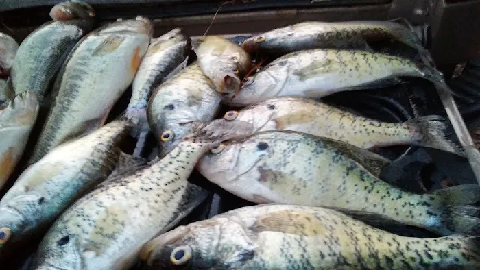 Michael's Contracting & Service LLC Picture 4