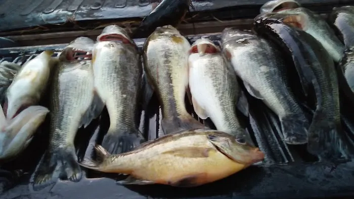 Michael's Contracting & Service LLC Picture 5