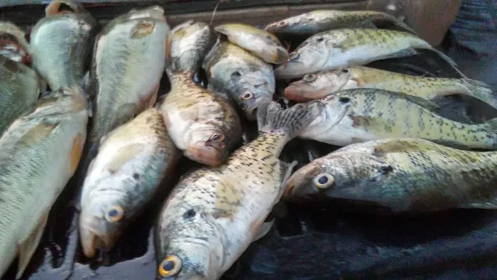 Michael's Contracting & Service LLC Picture 6