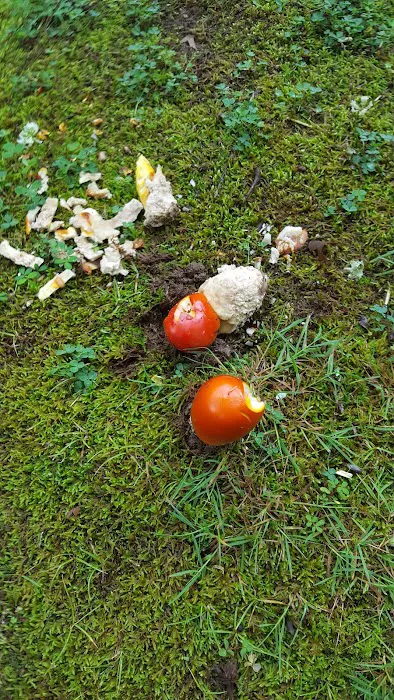 General Heating & Air, Inc Picture 3