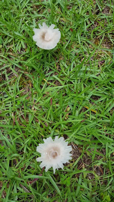 General Heating & Air, Inc Picture 2