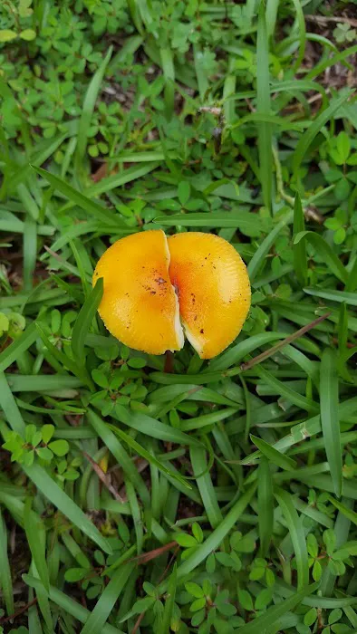 General Heating & Air, Inc Picture 1