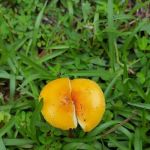 General Heating & Air, Inc