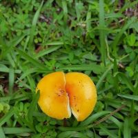 General Heating & Air, Inc ico