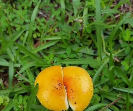 General Heating & Air, Inc