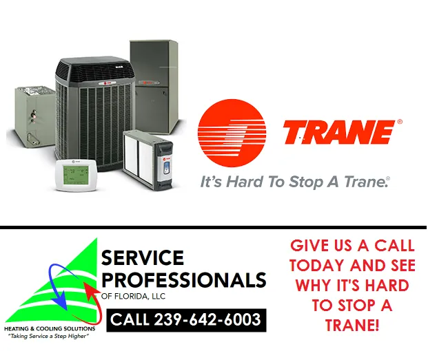 Service Professionals of Florida Picture 9