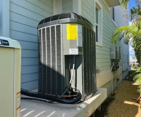 Service Professionals of Florida