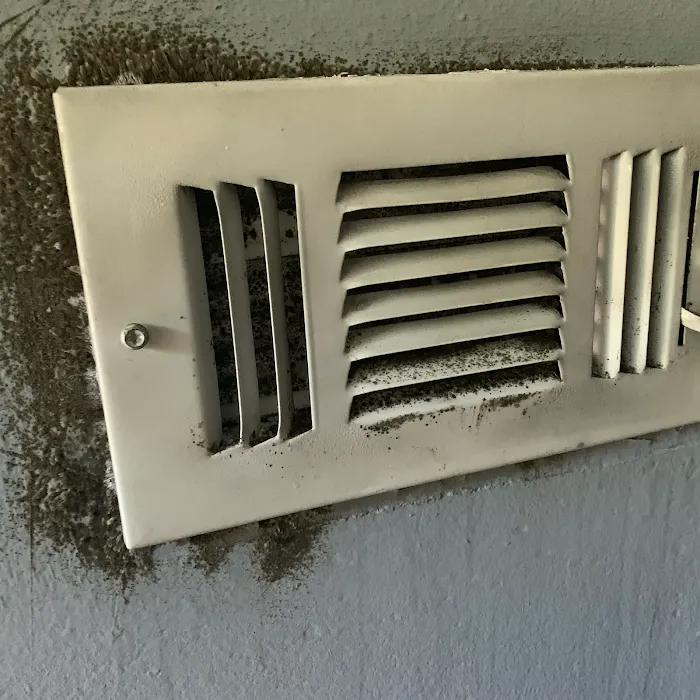 Air Duct Charleston Picture 8