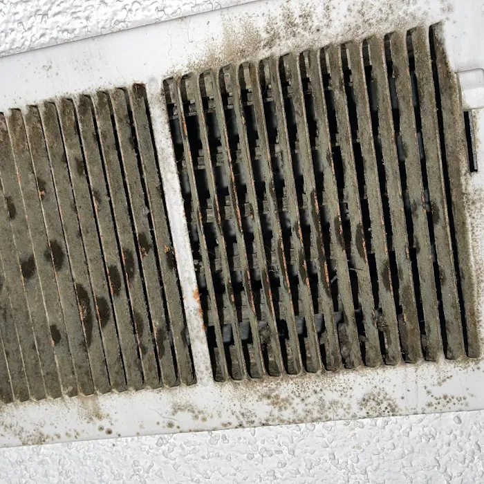 Air Duct Charleston Picture 10