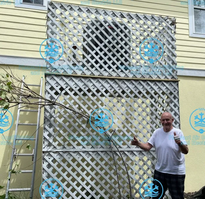 Pleasant Air and Electric Picture 7