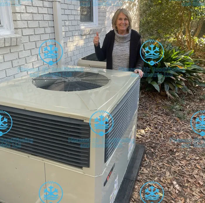 Pleasant Air and Electric Picture 2