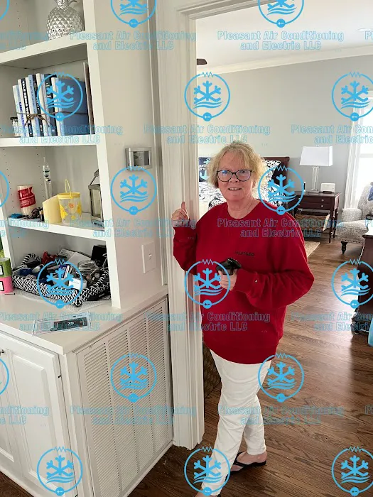 Pleasant Air and Electric Picture 8