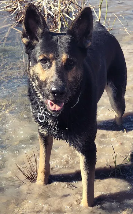 Alpha Air Heating and Cooling Picture 3