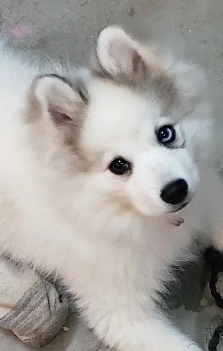 HenSon's HVAC Picture 6