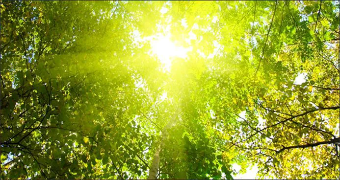 Rutherford Heating and Air Picture 7