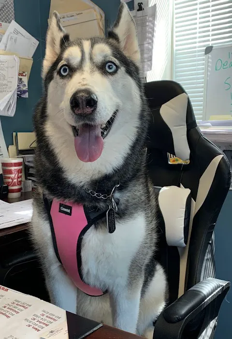 Air Services of the Carolinas Picture 2