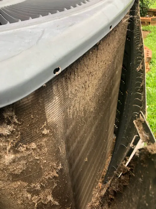 AMBI PM SERVICES LLC Picture 3