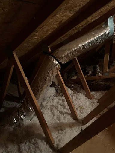 RS Andrews Picture 2