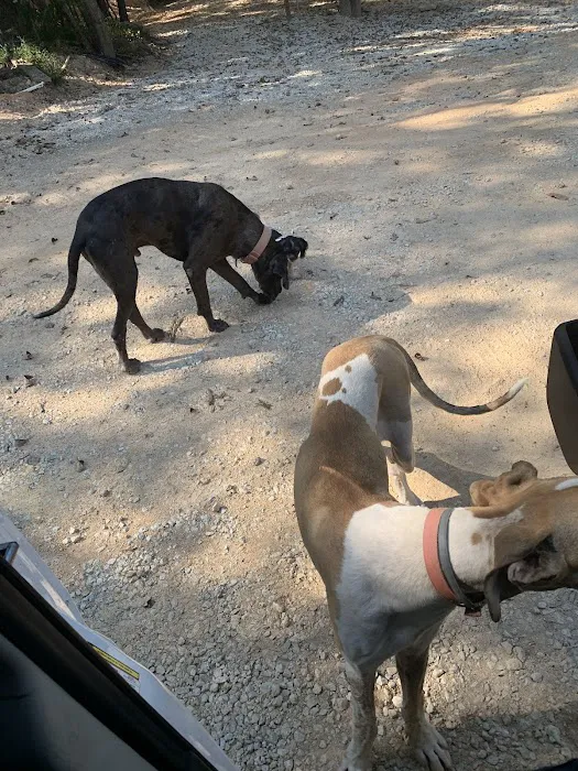 Hampton Air Duct Service Picture 1