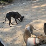 Hampton Air Duct Service