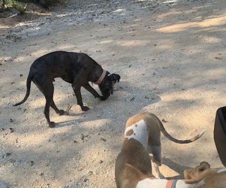 Hampton Air Duct Service