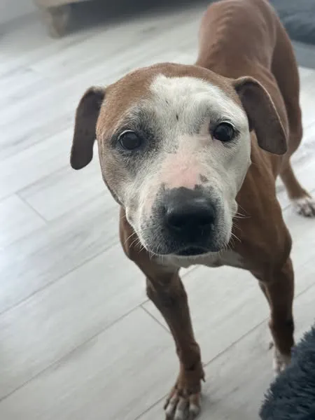 Pro-Tec Plumbing & Air Picture 5