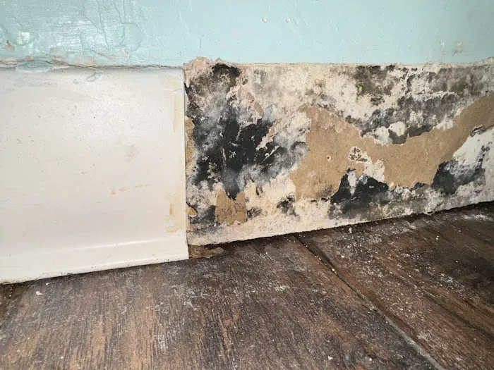 Boss Disaster Restoration Inc. Picture 7