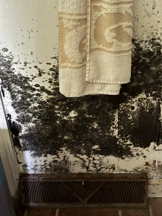 Boss Disaster Restoration Inc. Picture 6