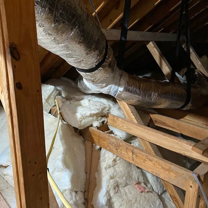 Carolina Custom Air Picture 6