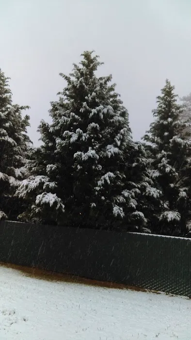 Anson Mechanical Services Inc Picture 1