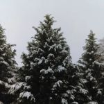 Anson Mechanical Services Inc