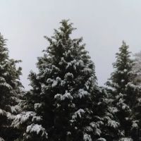 Anson Mechanical Services Inc ico