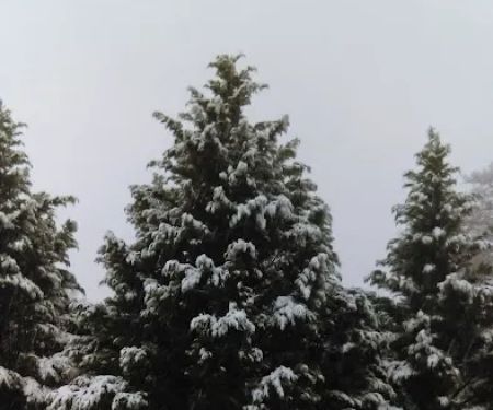 Anson Mechanical Services Inc