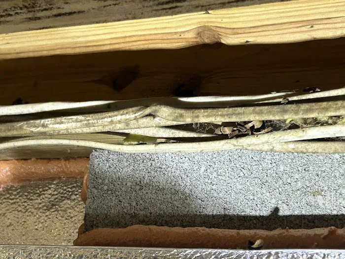 Champion Comfort Experts Picture 6