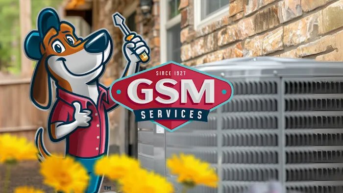 GSM Services Picture 1