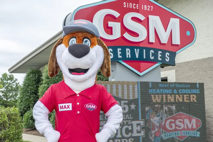 GSM Services Picture 5