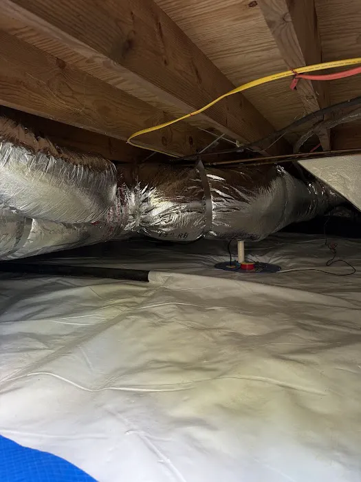 GSM Services Picture 4