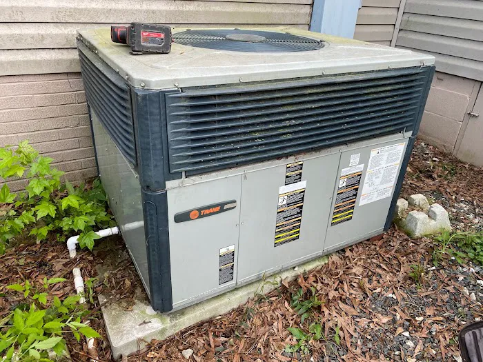 T&M Services Picture 7