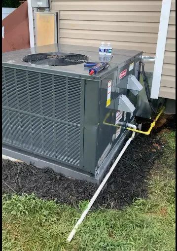 Jenkins Services Group, LLC Picture 8