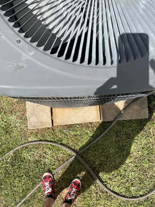 Morris-Jenkins Picture 3