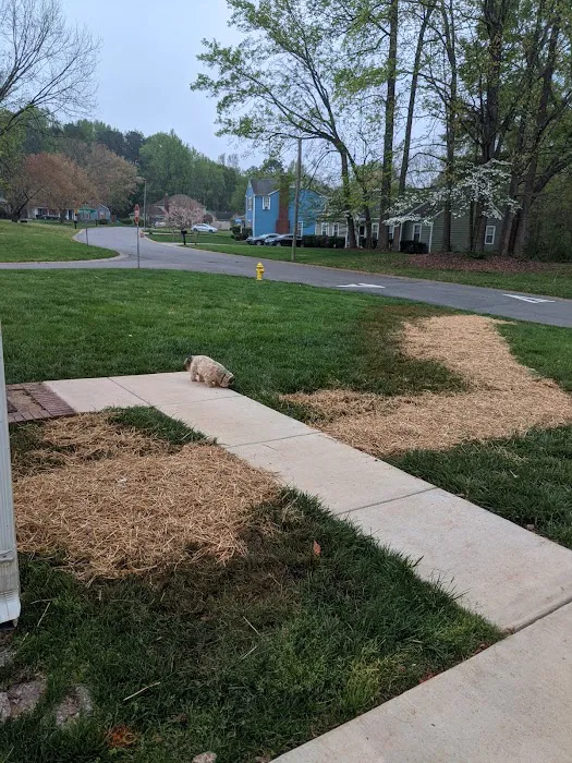 Morris-Jenkins Picture 4