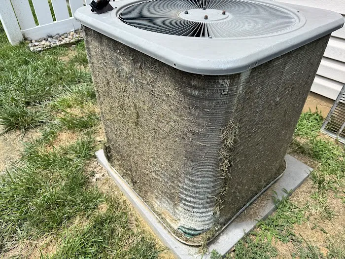 Morris-Jenkins Picture 5