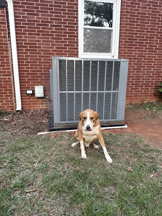 Morris-Jenkins Picture 10