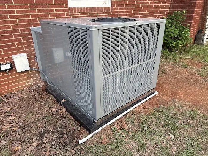 Morris-Jenkins Picture 7