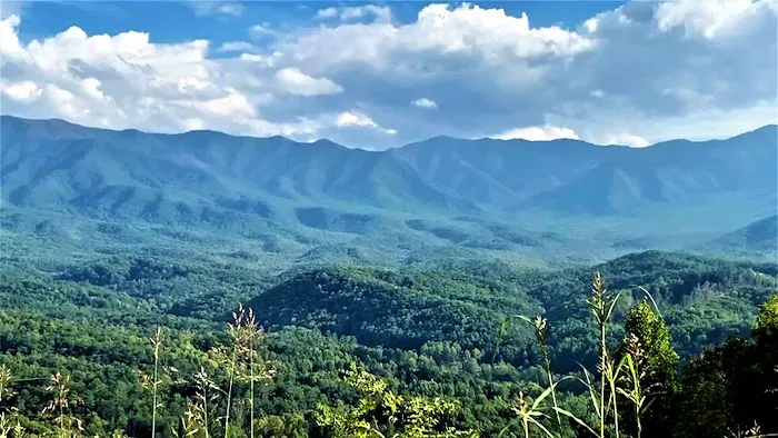 Stickels Service Co Inc Picture 1