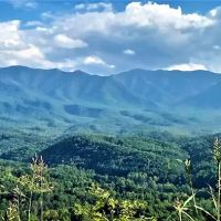 Stickels Service Co Inc ico